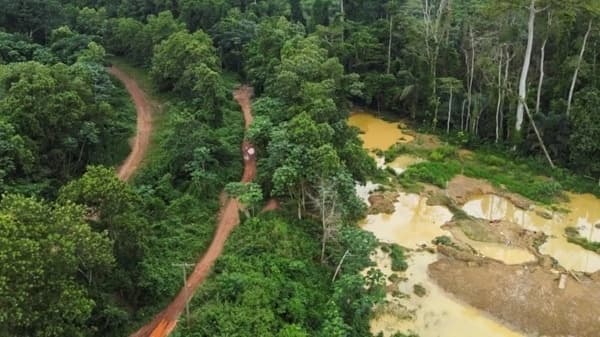 Mahama says illegal miners cleared from nine forest reserve ‘red zones’