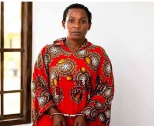 Tiktoker Camilla Alhassan jailed one year over false claims about president Mahama
