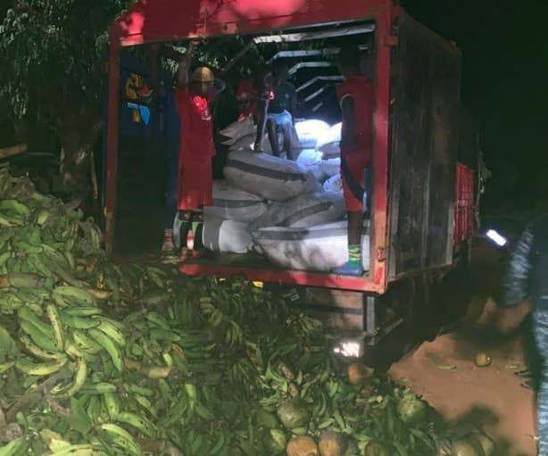 Plantain ‘decoy’ used to hide 11.8 tonnes of cocoa,  police say