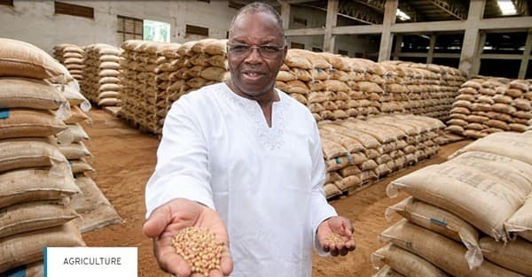 Agriculture: West Africa seeks to speed up the movement of seeds