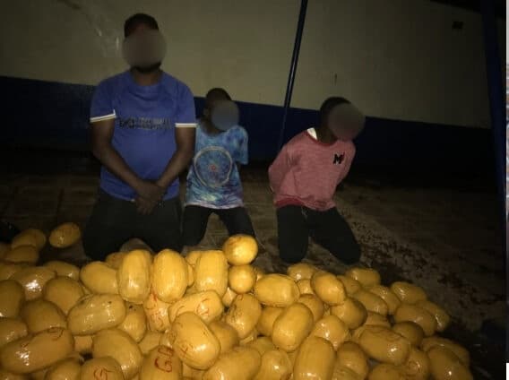 Police seize 142 suspected cannabis parcels, arrest four in Northern Region