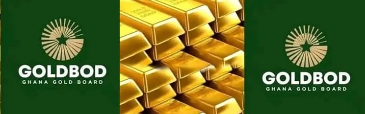  GoldBod losses should be judged against foreign exchange gains - analysts