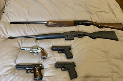 Security expert questions decision to revoke all firearm licences