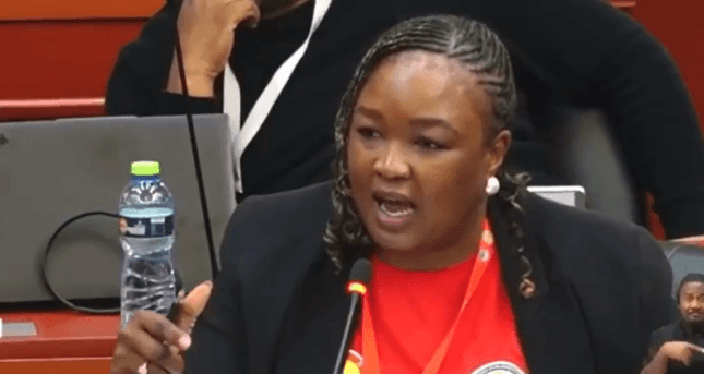 South Africa and Mozambique abstain from African Family Values Charter adoption in Accra